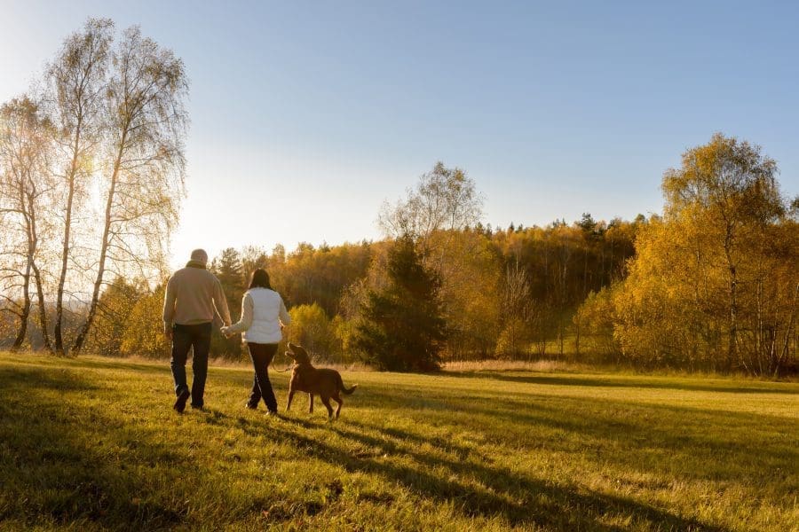 A couple walking their dog in a park.