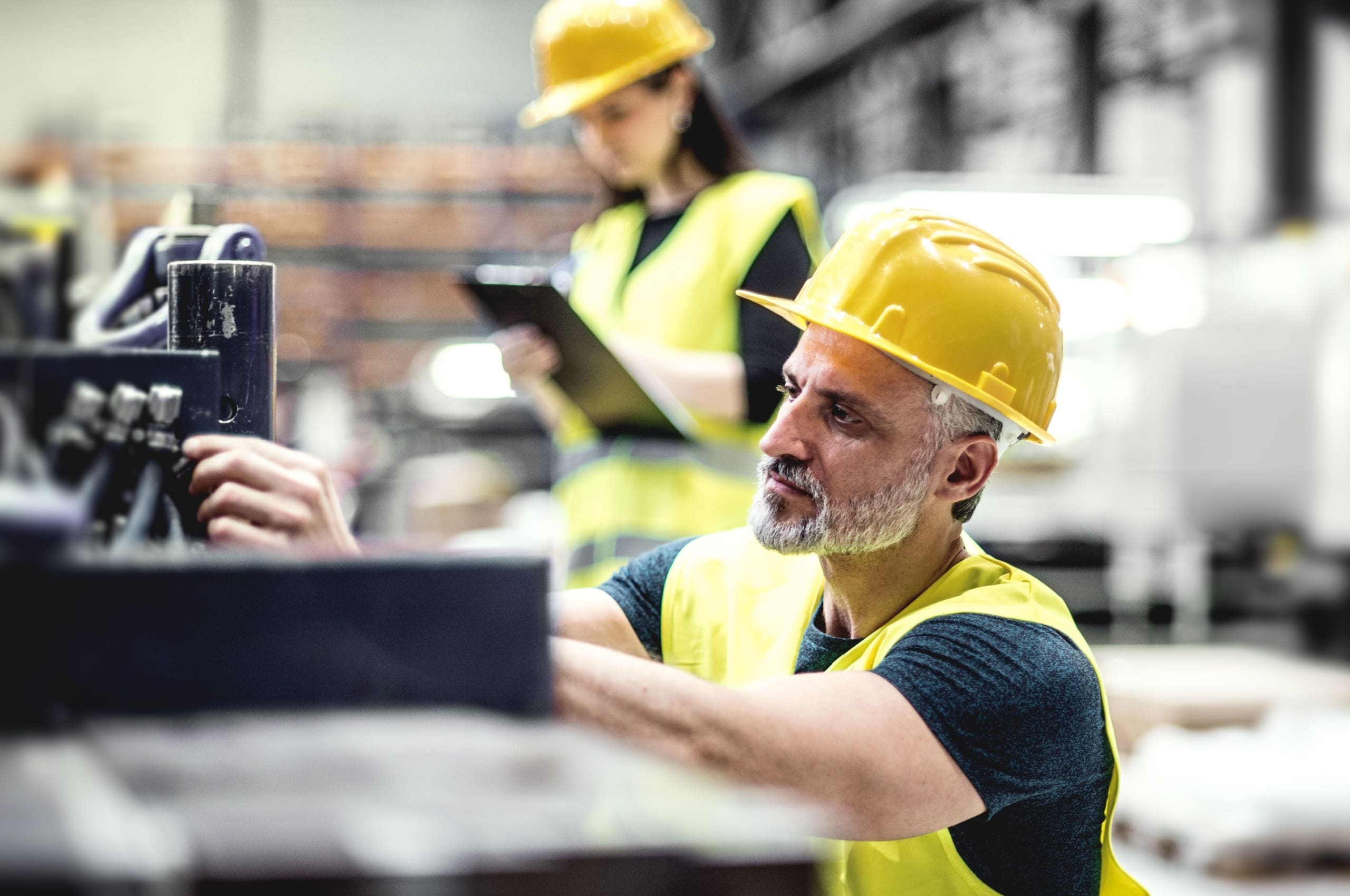 Investment market update: December 2024